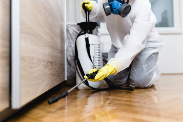 Pest Control for Restaurants in Bluefield, VA