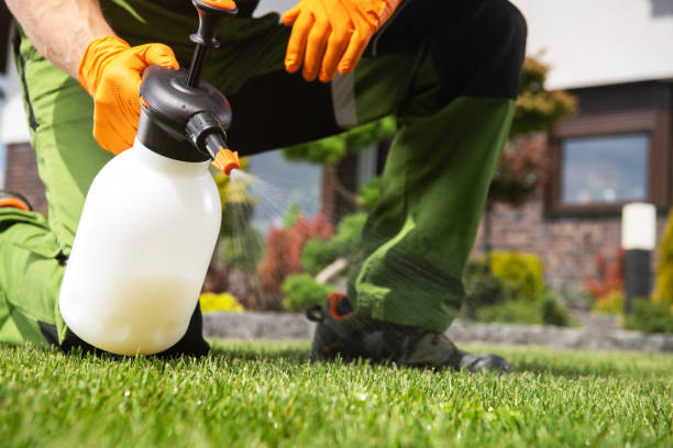 Best Residential Pest Control  in Bluefield, VA
