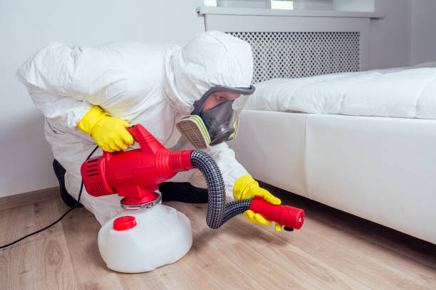 Best Rat Extermination Near Me  in Bluefield, VA