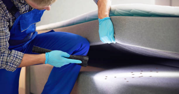 Best Best Pest Control Companies  in Bluefield, VA
