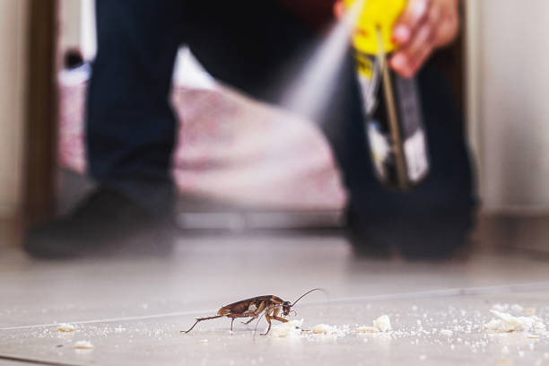 Best Pest Prevention Services  in Bluefield, VA