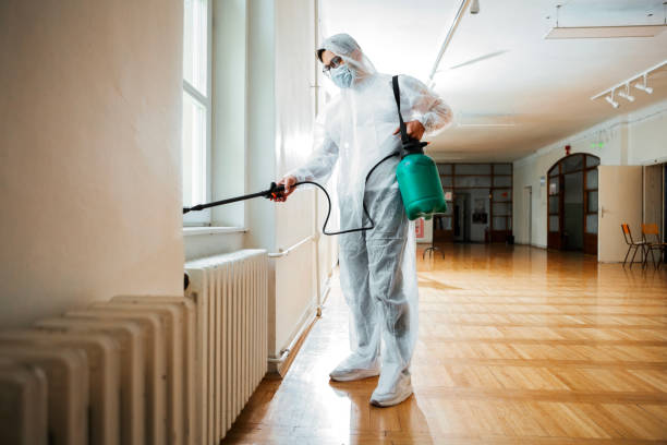 Best Affordable Pest Control Services  in Bluefield, VA